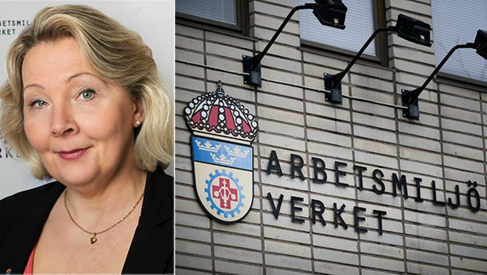 Erna Zelmin-Ekenhem, generaldirektör på Arbetsmiljöverket. Foto: Hans Alm, TT-Bild