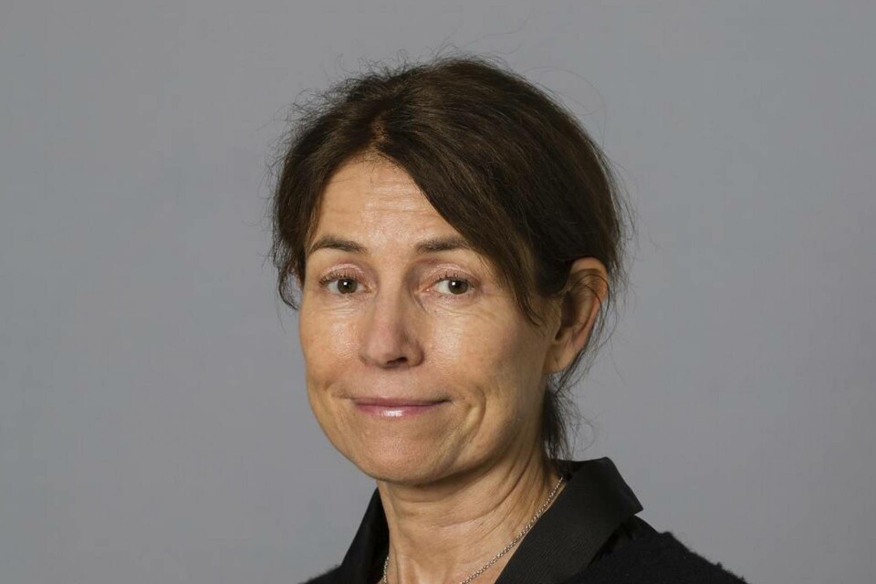 Eva Barkström, Arbetsmiljöverket. Foto: Lena Katarina Johansson