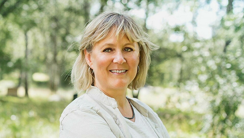 Charlotte Wåhlin, forskare vid avdelningen för arbets- och miljömedicin på Region Östergötland.