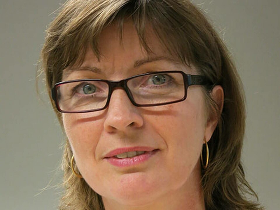 Karin Bennbom, sektionschef, på Arbetsmiljöverket. Foto: Arbetsmiljöverket