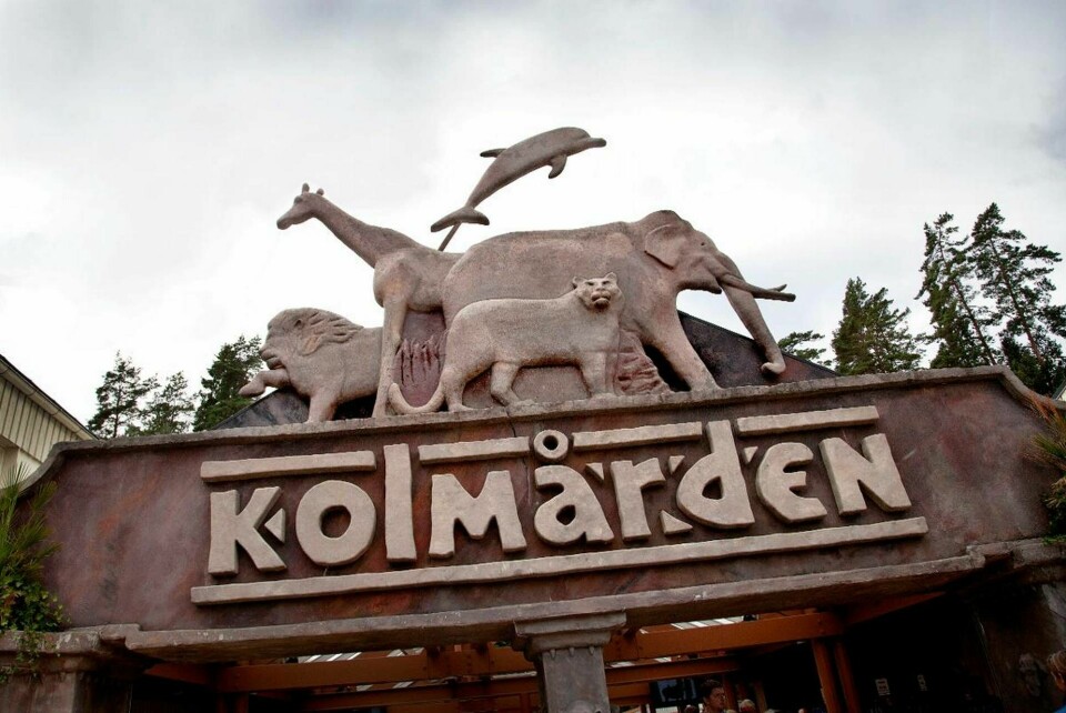 Kolmårdens djurpark anklagas för grovt arbetsmiljöbrott och krävs på 4 miljoner kronor i företagsbot. Foto: Jörgen Appelgren