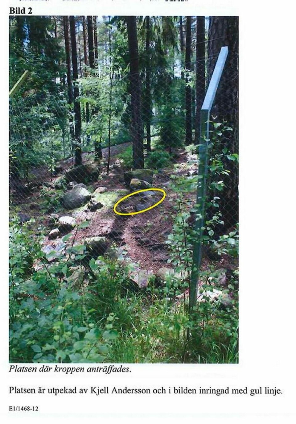 Bild från varghägnet ur polisutredningen. Platsen där djurvårdarens kropp hittades är gulmarkerad. Foto: Polisen