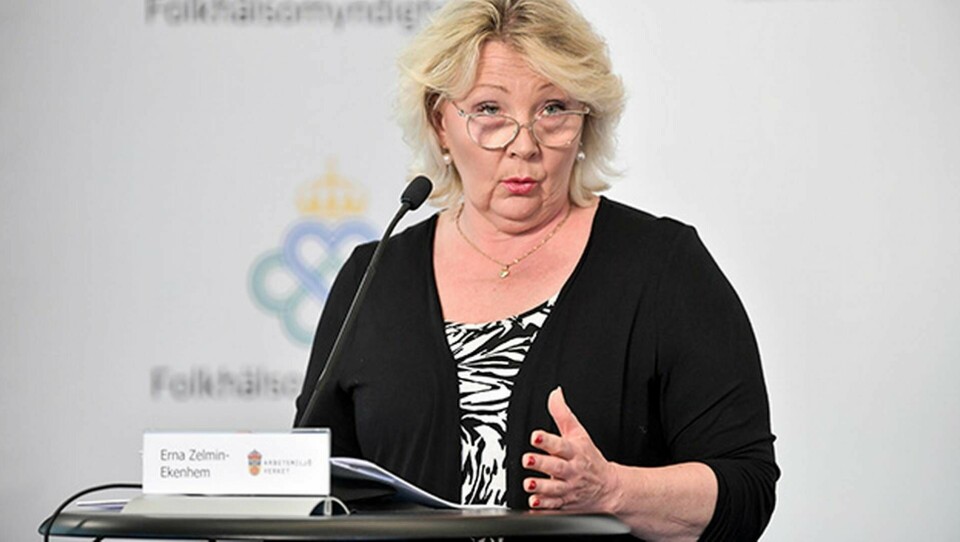 Erna Zelmin-Ekenhem, generaldirektör på Arbetsmiljöverket. Foto: Anders Wiklund/TT