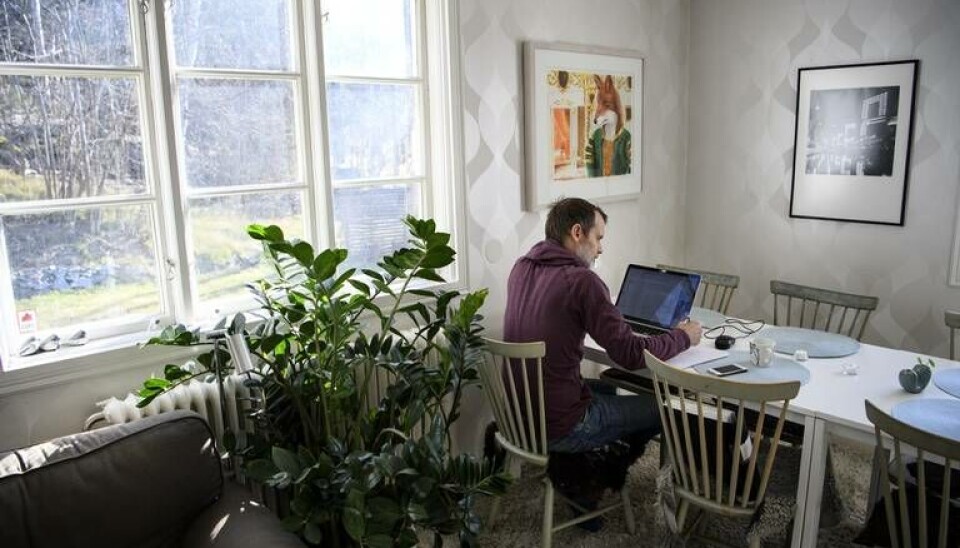 Fördelen med hemmajobb är bland annat gröna växter. Arkivbild. Foto: Jessica Gow/TT