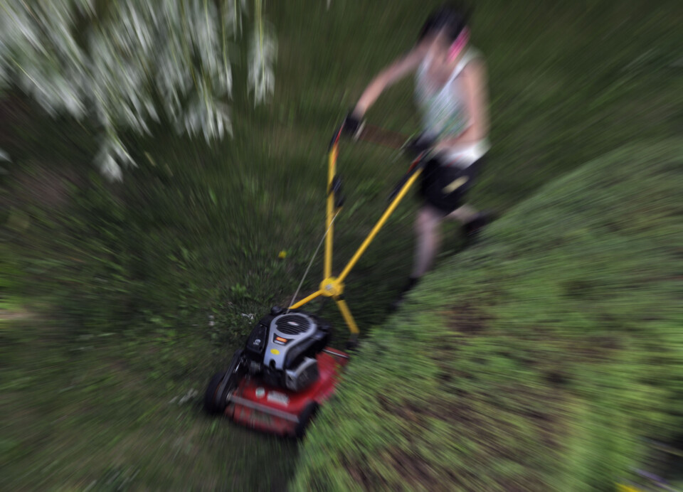 Parkarbete är typiska sommarjobb. Foto Hasse Holmberg